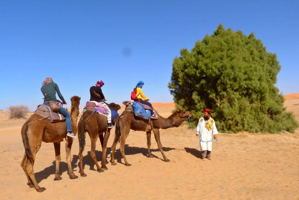 Merzouga Camp And Hostel Værelse billede